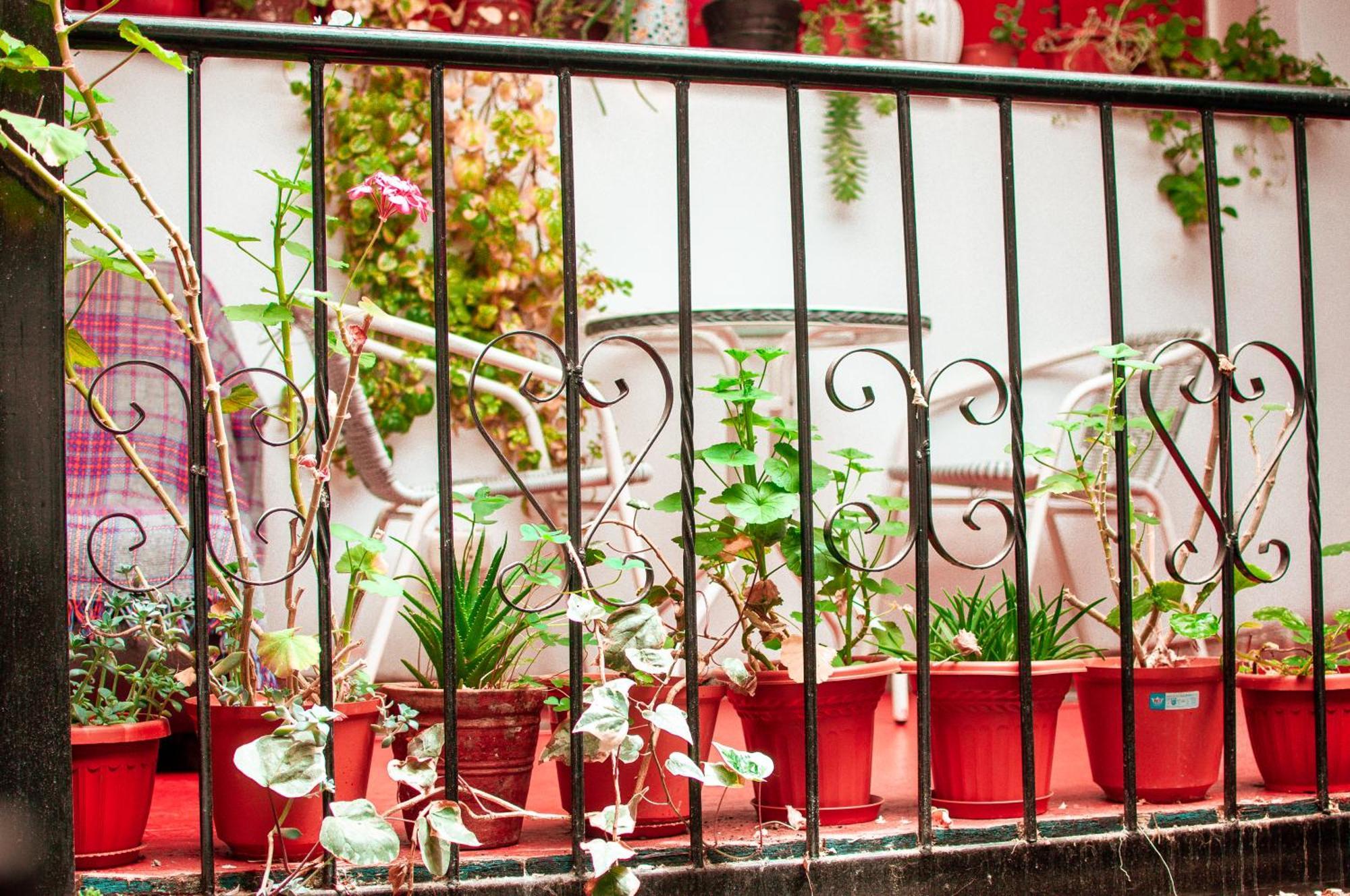 La Casa De Laura - Plaza Hotel Cuzco Exterior foto